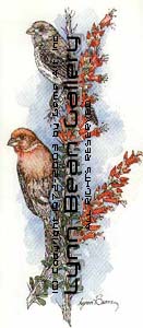 House Finches.