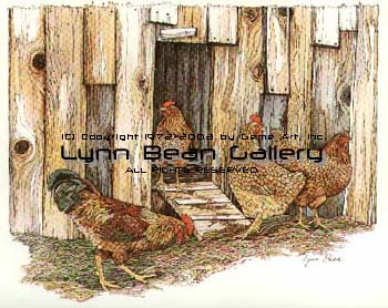 Chicken Coop.