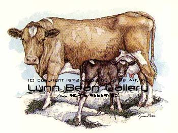 Guernsey Cow with Calf.