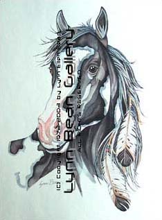 Black And White Paint.