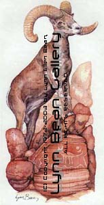 Desert Bighorn Over Petroglyphs.