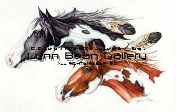 Feathered Stallions.