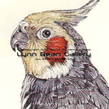 Detail.