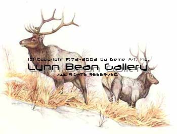 Elk Limited Edition.