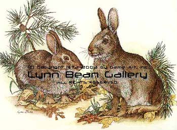 Cottontail Rabbits.
