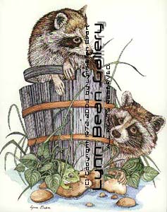 Racoons on Bucket.