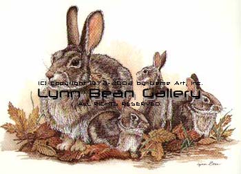 Satin Rabbit Family.